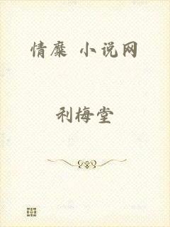 情糜 小说网